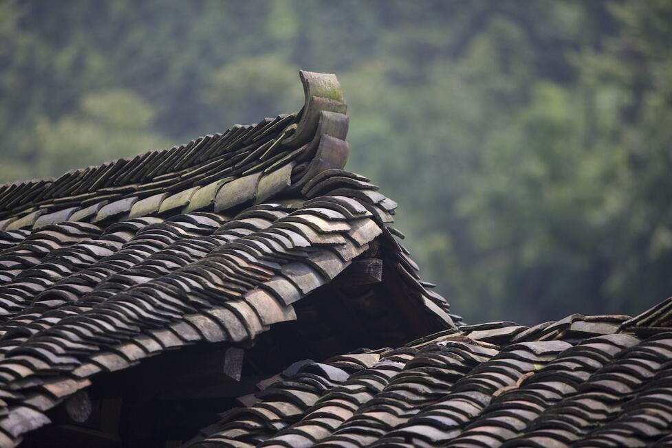 Clay tiles on roof